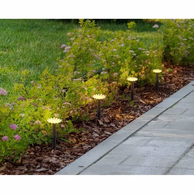 36354-5-2.jpg 36354-5-2.jpg