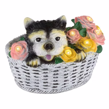 36371-1.jpg 36371-1.jpg