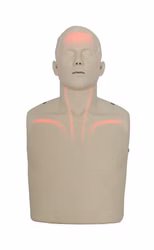 Brayden Manikin LED Advanced Reanimationspuppe Trainingspuppe