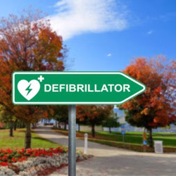 Standortschild Defibrillator Straßenschild rechtsweisend