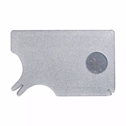 Zeckenkarte mit Lupe