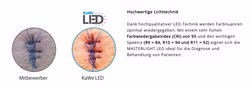 KaWe Untersuchungsleuchte Masterlight LED 2 Behandlungslicht 2F nicht fokussierbar