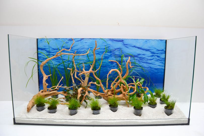 Fertige Dekosets für Aquarien! Fertige Dekosets für Aquarien!