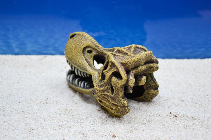 VANZACK Dinosaurier Schädel Aquarium Deko - Triceratops Skelett Versteck Für Fische