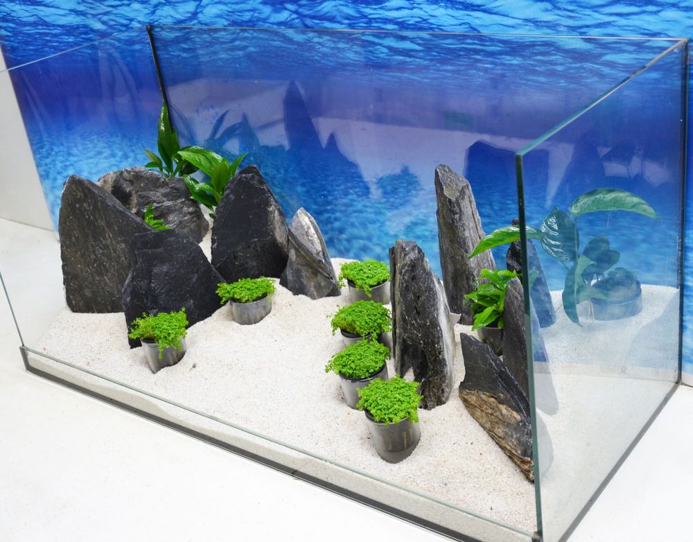 Aquarium Decoration Complete Stones Decor Rocks Plant