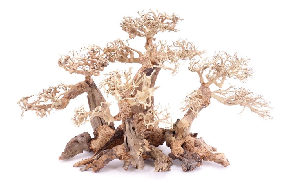 Aquarium Wurzel Bonsai Exclusive XL original Foto Nr.18096 Holz Deko