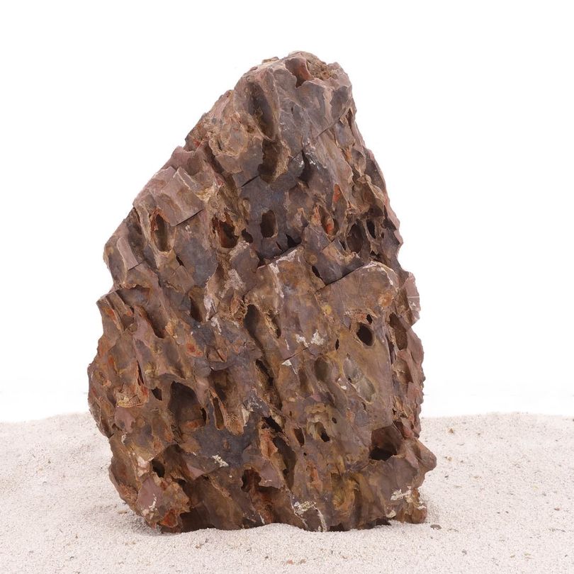 Pietra Portafortuna Acquario Acquario Pietre Naturali Drago Decorazione Rocce Braun 1 Pz TGLXL Pietra Portafortuna Acquario Acquario Pietre Naturali Drago Decorazione Rocce Braun 1 Pz TGLXL