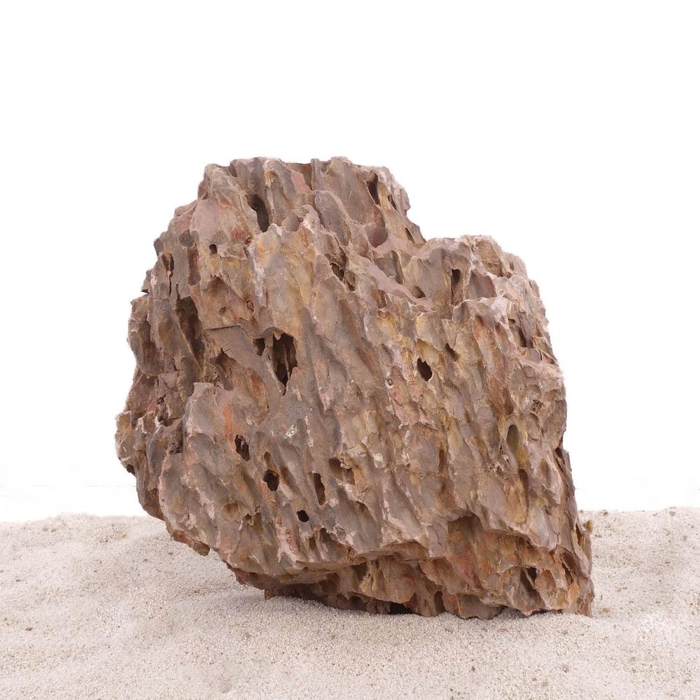Pietra Portafortuna Acquario Acquario Pietre Naturali Drago Decorazione Rocce Braun 1 Pz TGLXL Pietra Portafortuna Acquario Acquario Pietre Naturali Drago Decorazione Rocce Braun 1 Pz TGLXL