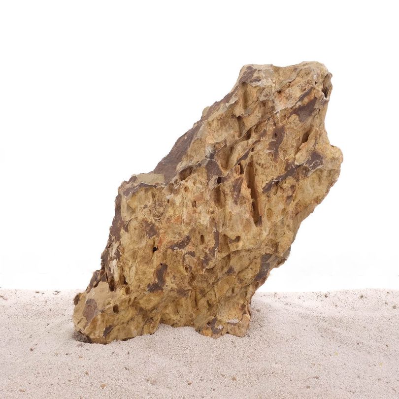 Acuario Piedra Del Dragón Decorativas Art.66 Tamaño XXXL 40-50 CM Nr