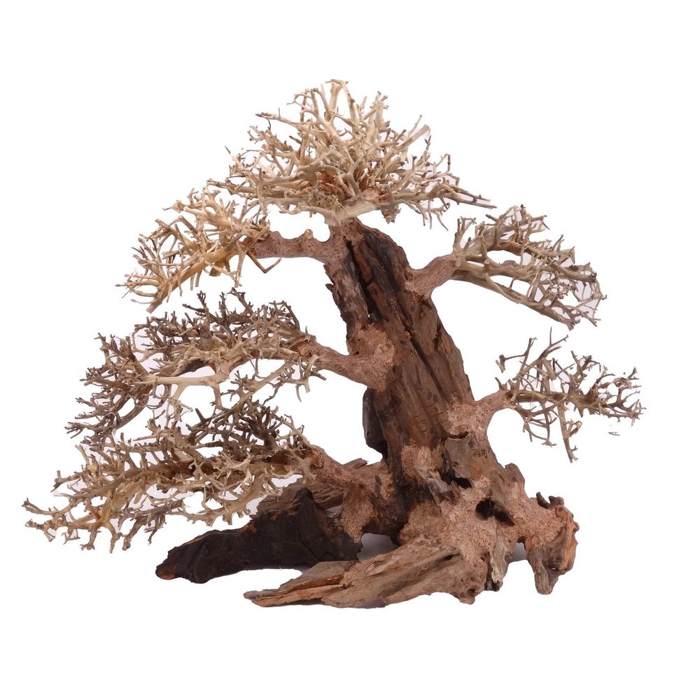 XXL Bonsai Baum Nr.13031 Wurzel Holz Aquarium Deko Aquascaping