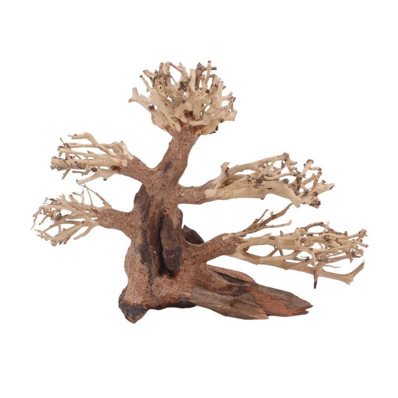 M Bonsai Baum Nr.10549 Wurzel Holz Aquarium Deko Aquascaping