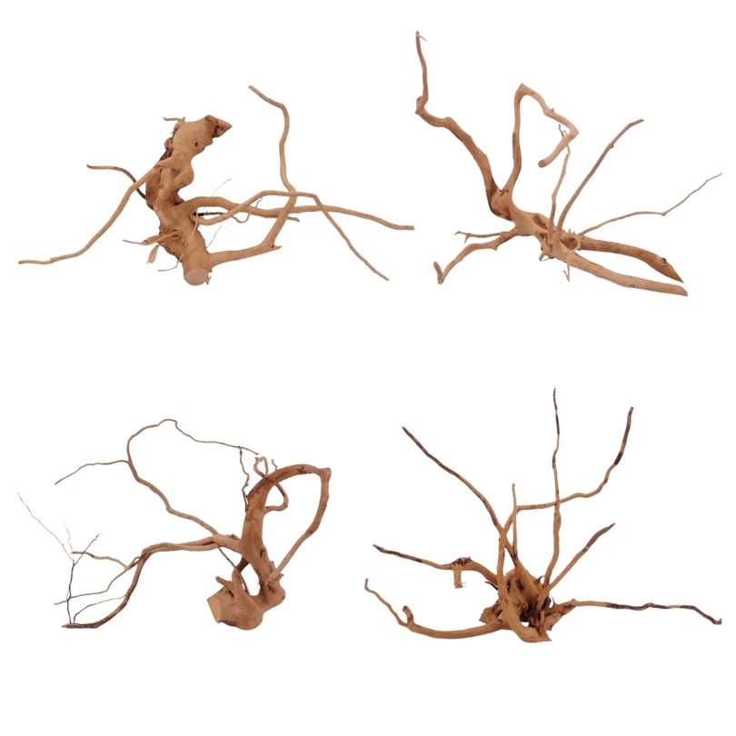 Moorkien Wurzel L 35-50cm