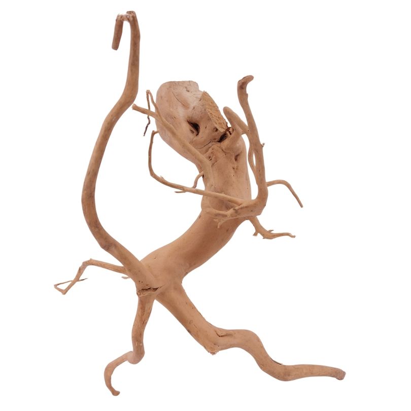 L Moorkienwurzel  Nr.1474 Fingerwurzel Echtholz Deko Aquascaping 