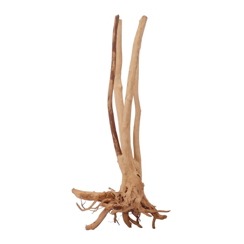 L Stump Wurzel Nr.2439 Holz Deko Aquascaping