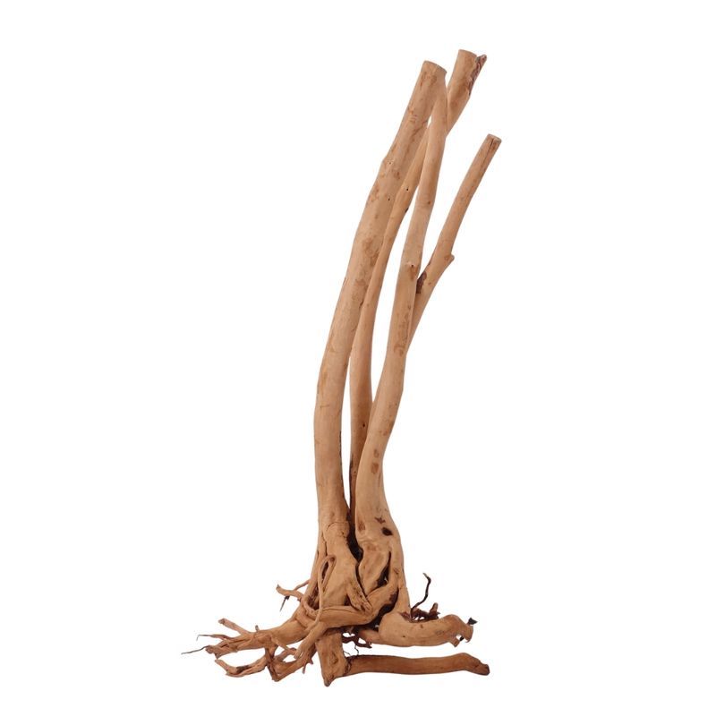 L Stump Wurzel Nr.2442 Holz Deko Aquascaping