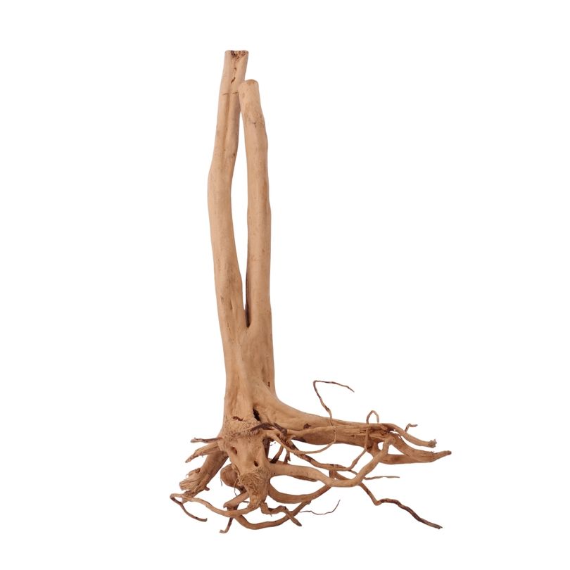 L Stump Wurzel Nr.2444 Holz Deko Aquascaping