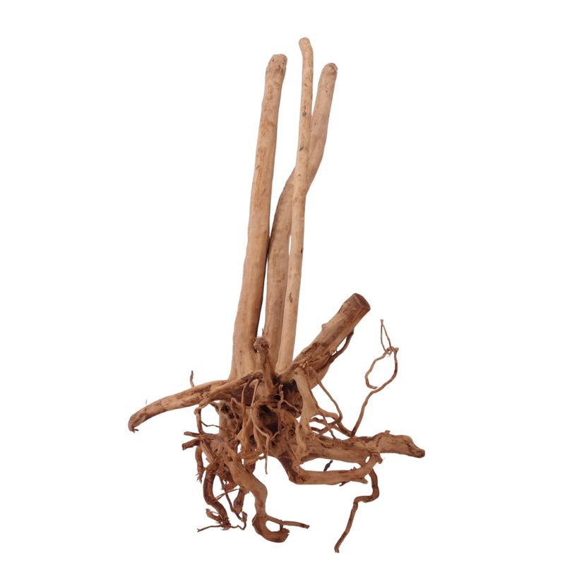 L Stump Wurzel Nr.2454 Holz Deko Aquascaping