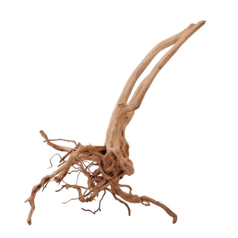 L Stump Wurzel Nr.2456 Holz Deko Aquascaping