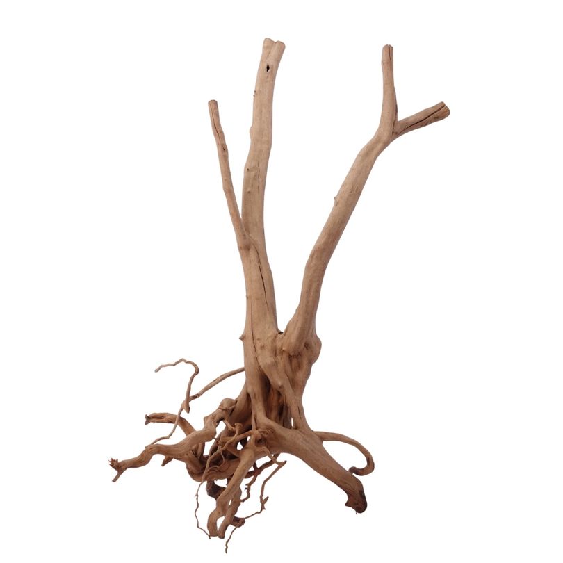 L Stump Wurzel Nr.2459 Holz Deko Aquascaping