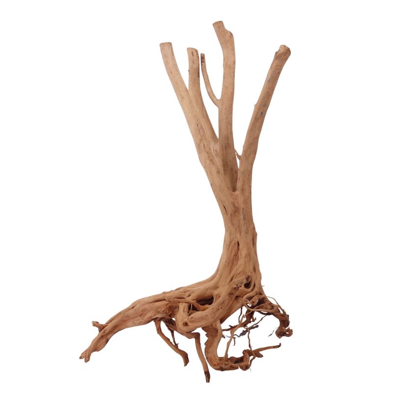 L Stump Wurzel Nr.2462 Holz Deko Aquascaping