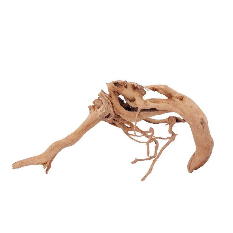 L Moorkienwurzel Nr.2500 Fingerwurzel Echtholz Deko Aquascaping