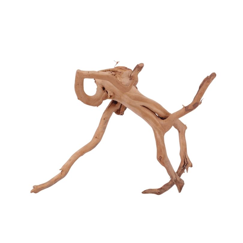 L Moorkienwurzel Nr.2502 Fingerwurzel Echtholz Deko Aquascaping