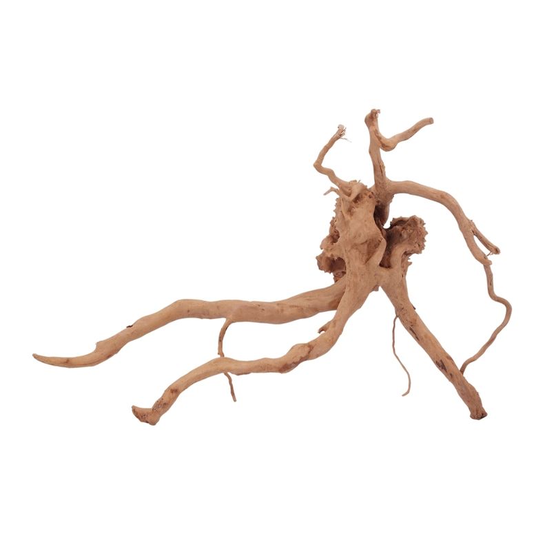 L Moorkienwurzel Nr.2507 Fingerwurzel Echtholz Deko Aquascaping