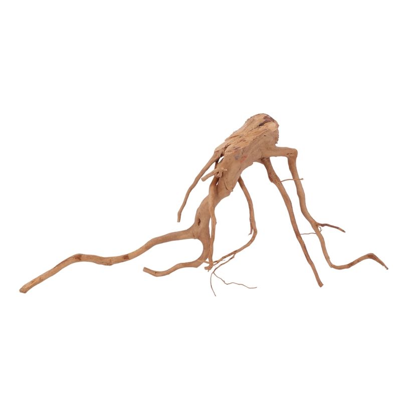 L Moorkienwurzel  Nr.2508 Fingerwurzel Echtholz Deko Aquascaping 