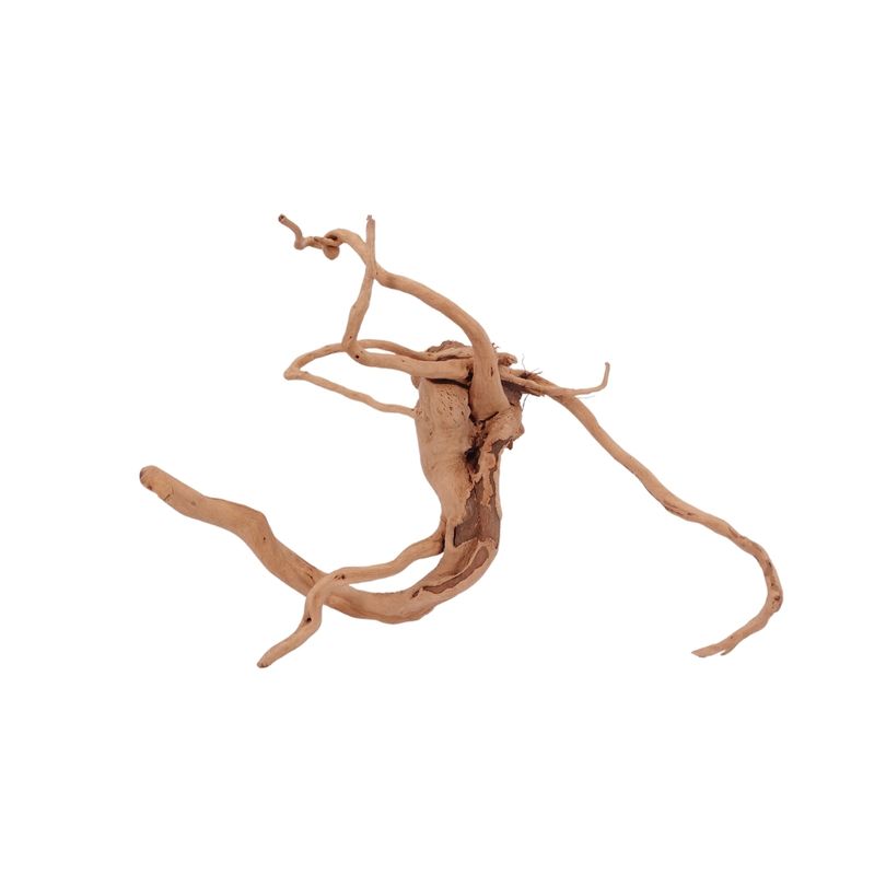 L Moorkienwurzel Nr.2510 Fingerwurzel Echtholz Deko Aquascaping
