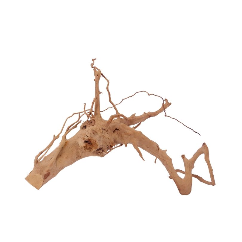 L Moorkienwurzel Nr.2514 Fingerwurzel Echtholz Deko Aquascaping