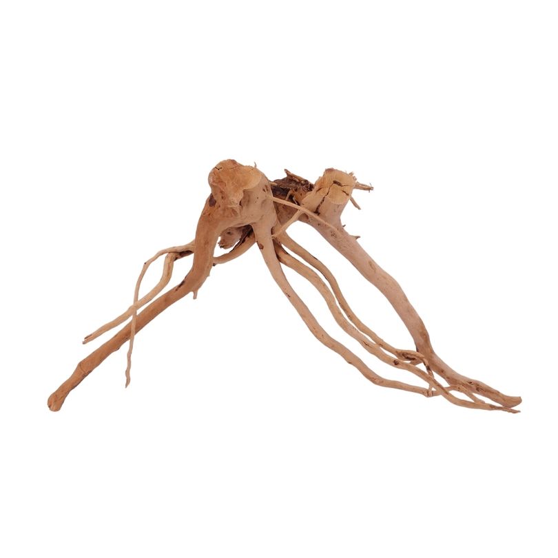 L Moorkienwurzel  Nr.2515 Fingerwurzel Echtholz Deko Aquascaping 