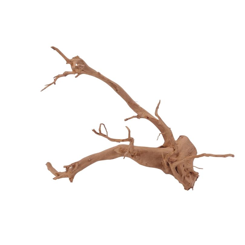 L Moorkienwurzel Nr.2517 Fingerwurzel Echtholz Deko Aquascaping