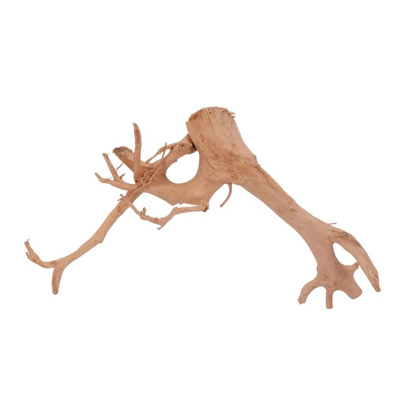 L Moorkienwurzel Nr.2524 Fingerwurzel Echtholz Deko Aquascaping