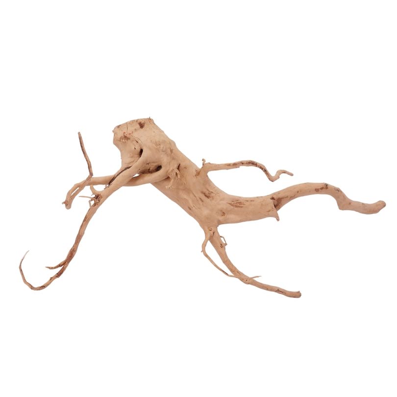 L Moorkienwurzel Nr.2525 Fingerwurzel Echtholz Deko Aquascaping