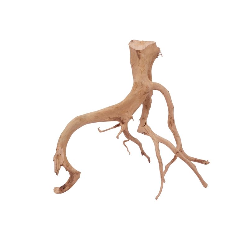 L Moorkienwurzel  Nr.2527 Fingerwurzel Echtholz Deko Aquascaping 