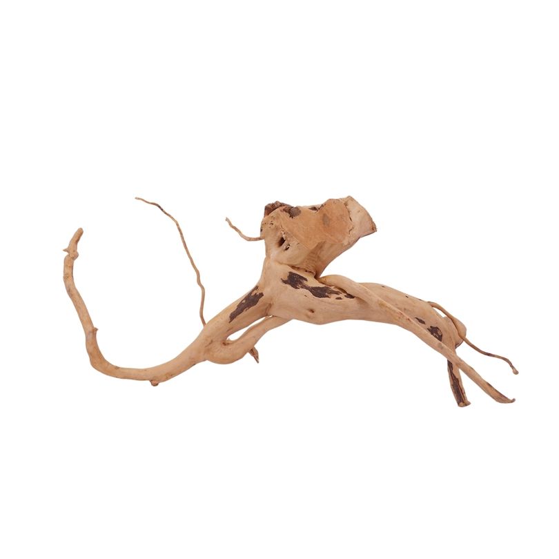 L Moorkienwurzel Nr.2528 Fingerwurzel Echtholz Deko Aquascaping