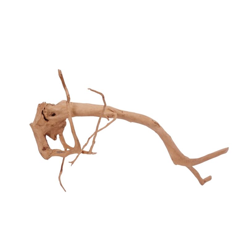 L Moorkienwurzel  Nr.2529 Fingerwurzel Echtholz Deko Aquascaping 