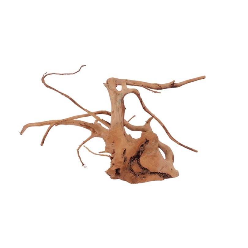 L Moorkienwurzel Nr.2530 Fingerwurzel Echtholz Deko Aquascaping