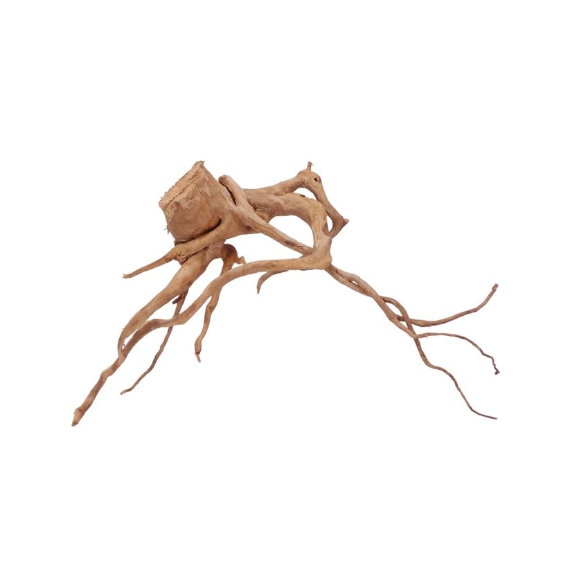 L Moorkienwurzel Nr.2533 Fingerwurzel Echtholz Deko Aquascaping