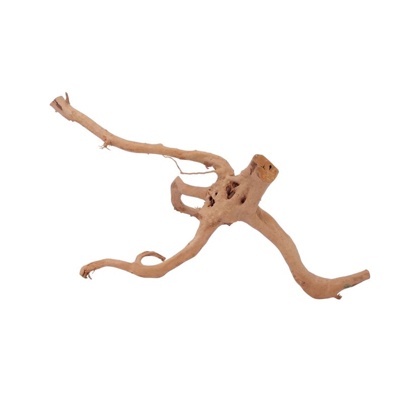 L Moorkienwurzel Nr.2535 Fingerwurzel Echtholz Deko Aquascaping