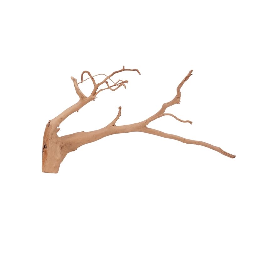 L Moorkienwurzel Nr.2539 Fingerwurzel Echtholz Deko Aquascaping