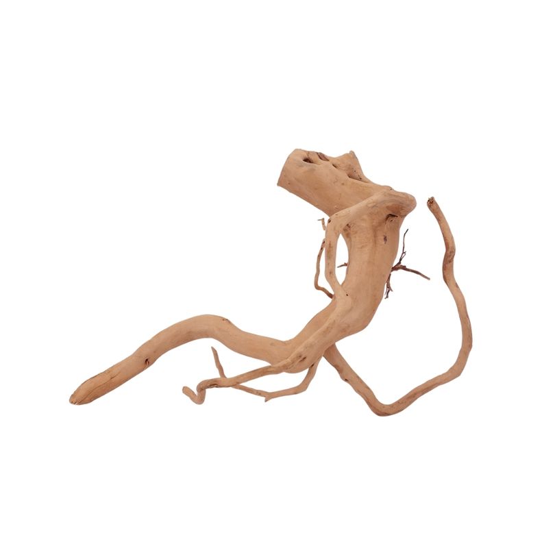 L Moorkienwurzel Nr.2541 Fingerwurzel Echtholz Deko Aquascaping