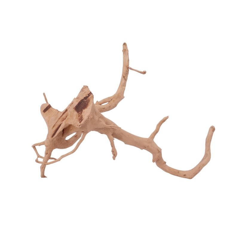 L Moorkienwurzel Nr.2543 Fingerwurzel Echtholz Deko Aquascaping