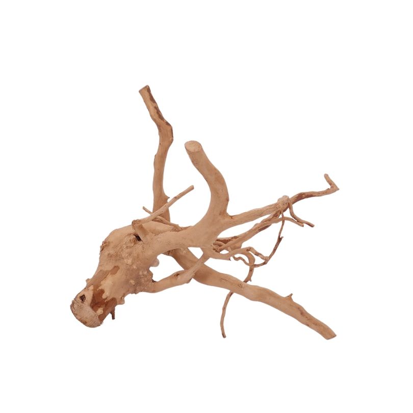 L Moorkienwurzel  Nr.2544 Fingerwurzel Echtholz Deko Aquascaping 
