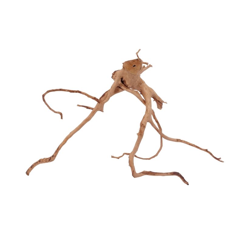 L Moorkienwurzel Nr.2548 Fingerwurzel Echtholz Deko Aquascaping