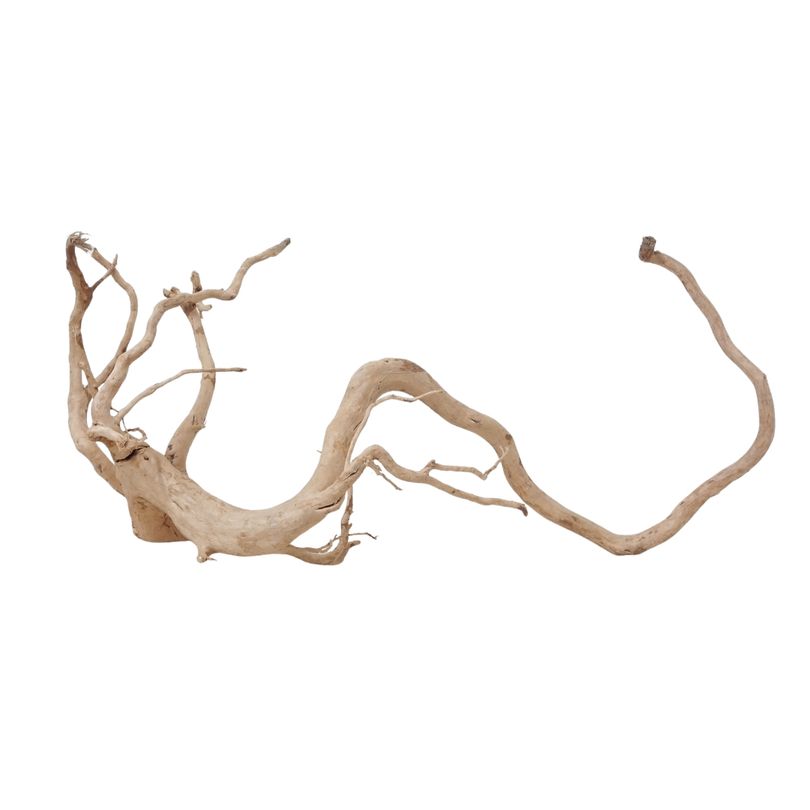 XXL Moorkienwurzel Nr.2550 Holz Deko Aquascaping