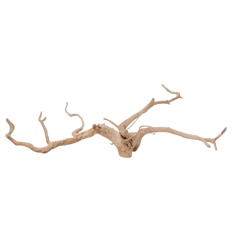 XXL Moorkienwurzel Nr.2551 Holz Deko Aquascaping
