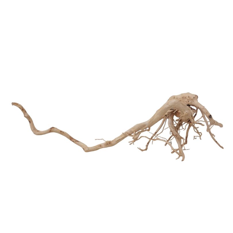 XXL Moorkienwurzel Nr.2554 Holz Deko Aquascaping