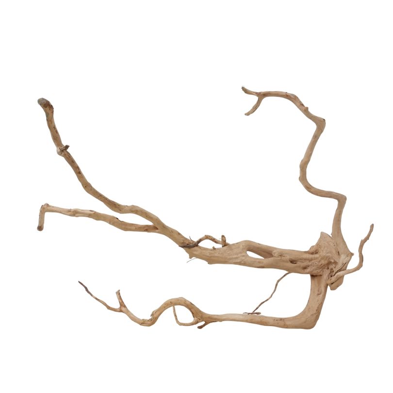 XXL Moorkienwurzel Nr.2555 Holz Deko Aquascaping