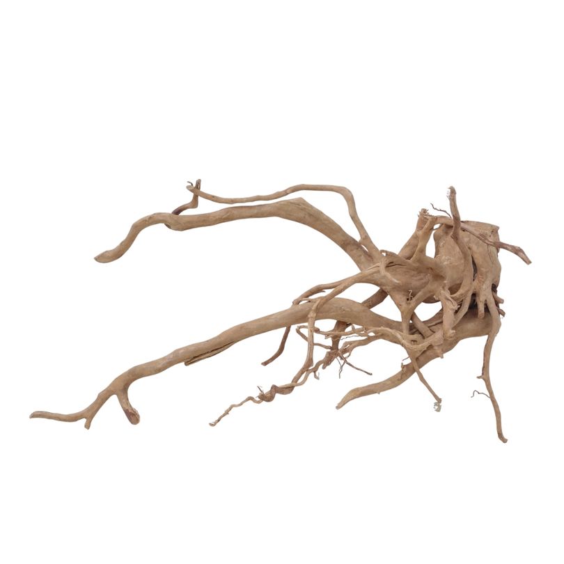 XXL Moorkienwurzel Nr.2556 Holz Deko Aquascaping